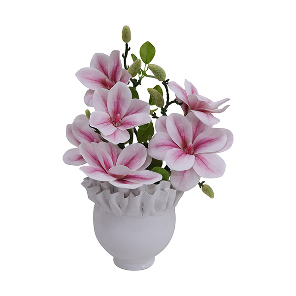 Background Removal | Clipping Path